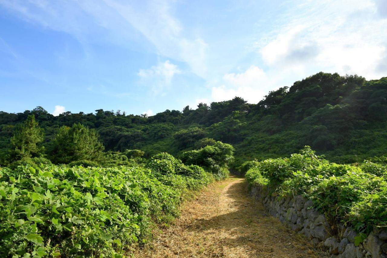Hidden Cliff Hotel And Nature Seogwipo Luaran gambar